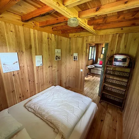 Camping La Kahute - Tiny House Au Coeur De La Foret Carcans Exterior photo