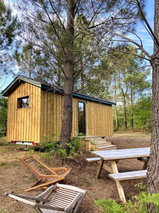 La Kahute - Tiny House Au Coeur De La Foret Carcans