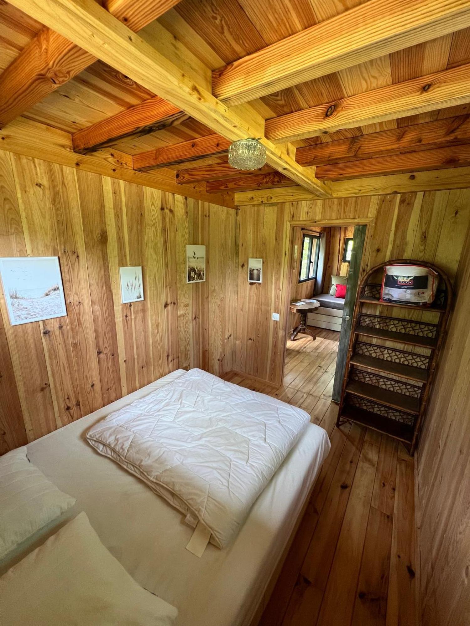 La Kahute - Tiny House Au Coeur De La Foret Campsite